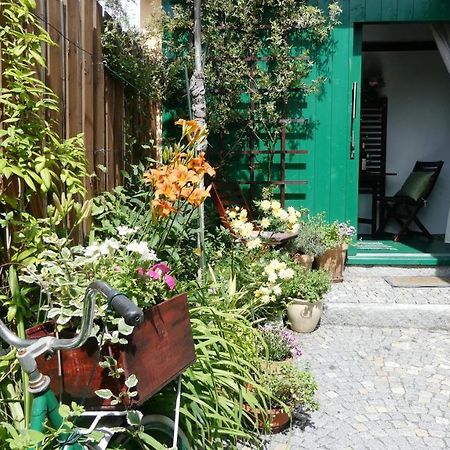 Apartman Horšovský Týn エクステリア 写真